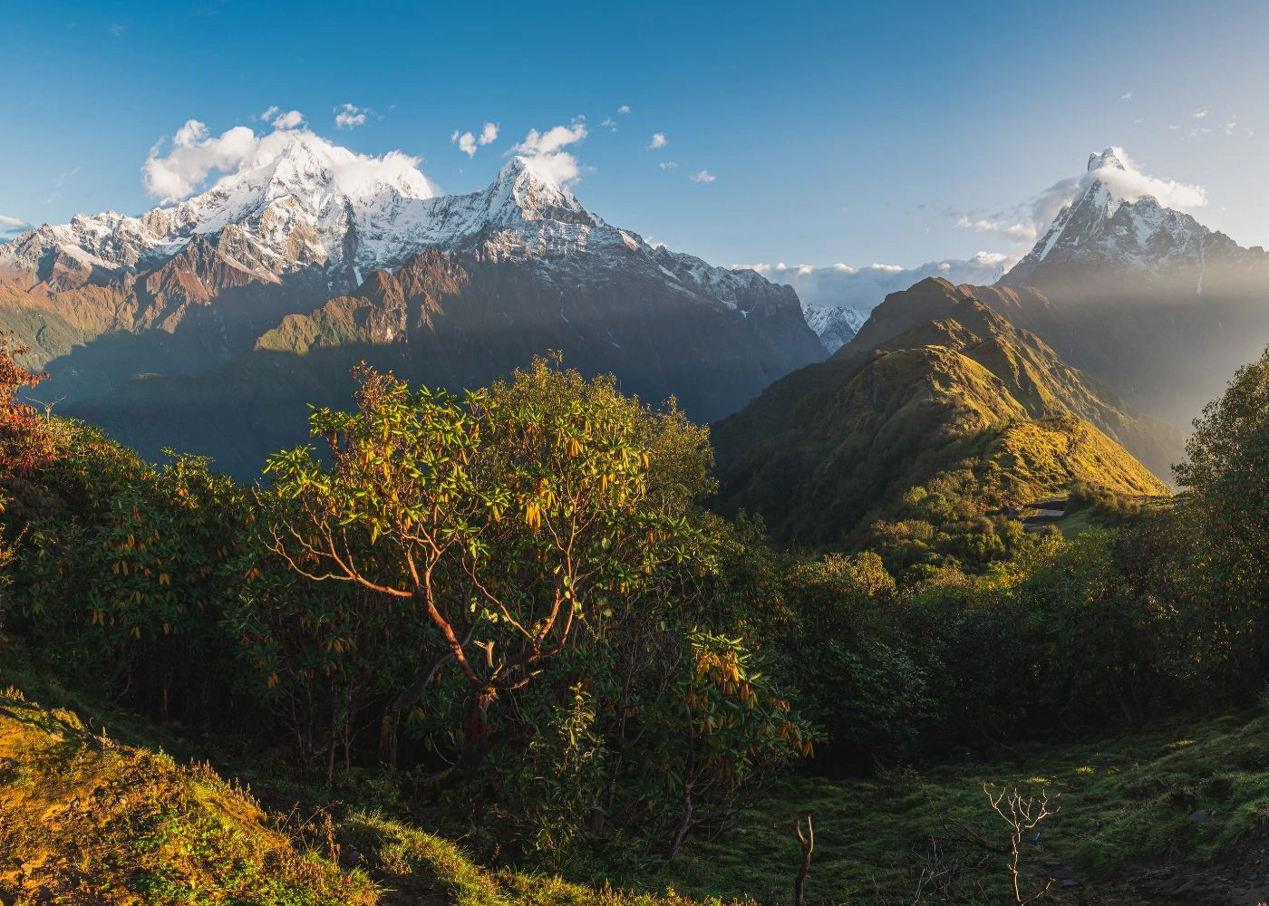 best-top-short-treks-in-nepal-1.webp