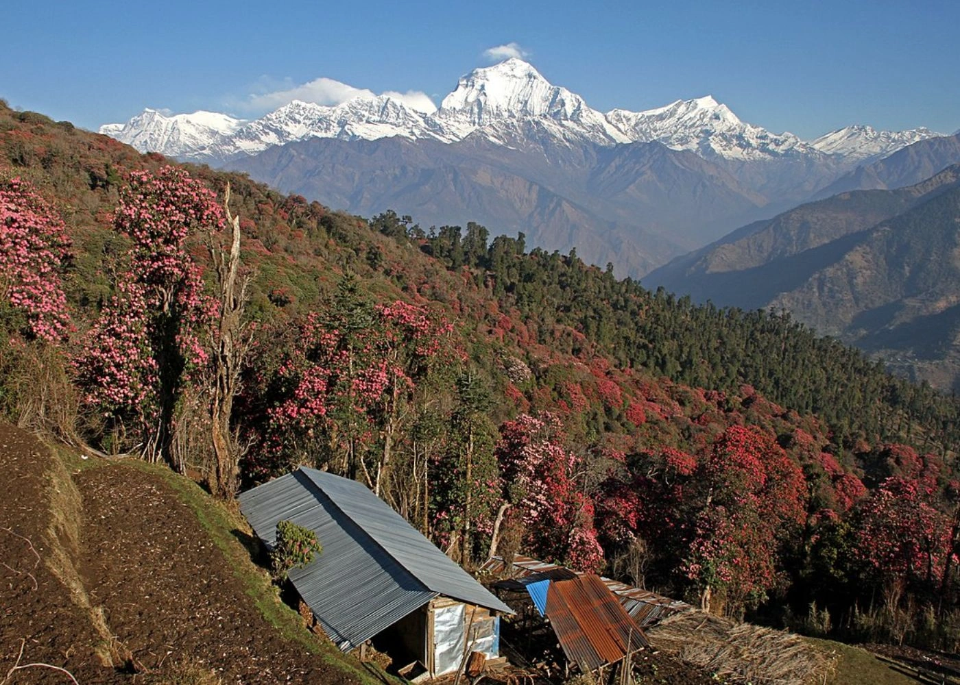 best-top-short-treks-in-nepal-2.webp