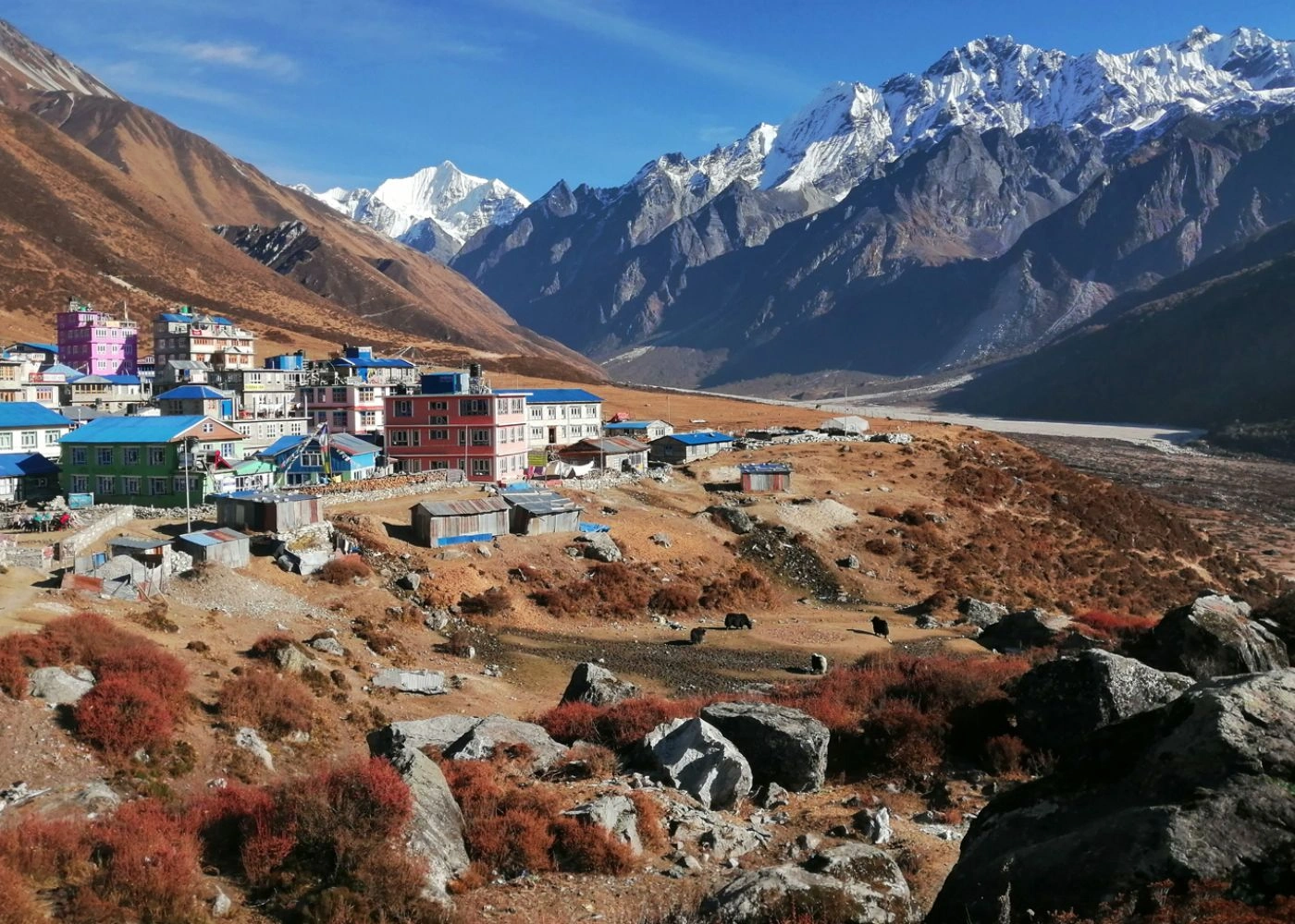comprehensive-guide-for-first-time-trekkers-in-nepal-2.webp