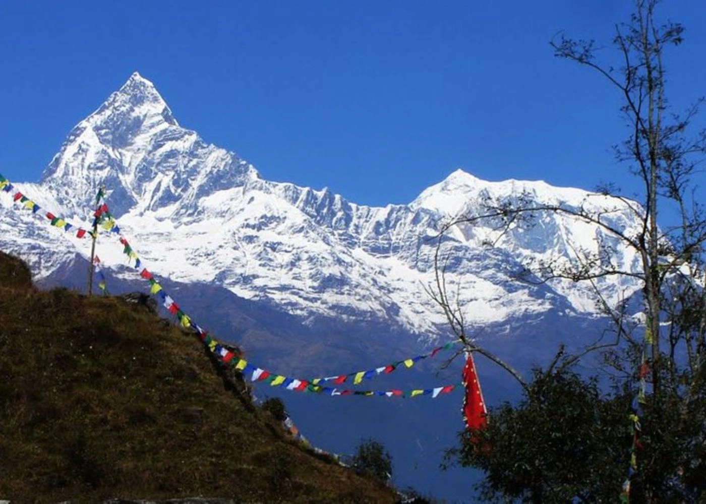 quick-guide-to-trekking-in-nepal-3.webp