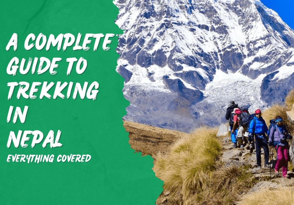 the-ultimate-guide-to-trekking-in-nepal-1.webp