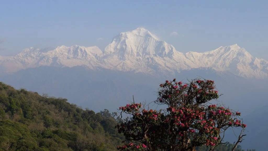 which-are-the-nepal-tourist-places-2.webp