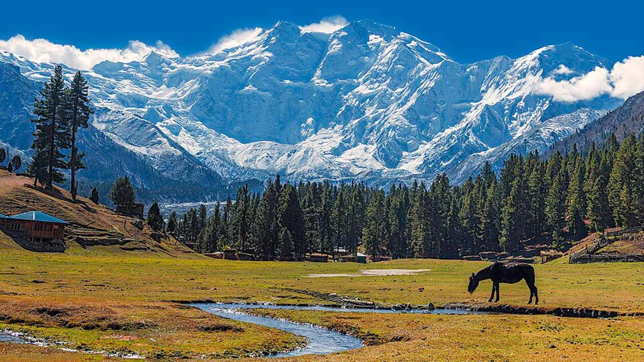 which-mountain-is-called-killer-mountain-3.webp
